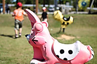 かりんの丘公園