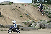 かりんの丘公園