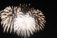 まんのうフェスティバル